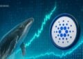ADA Whale Activity Signals Growing Confidence — Is Cardano Preparing for a Major Comeback?