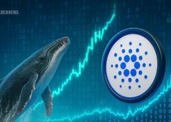 ADA Whale Activity Signals Growing Confidence — Is Cardano Preparing for a Major Comeback?