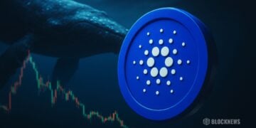 Cardano Whales Add $204 Million In ADA During Market Pullback — Here Is Why Analysts See A Bounce Ahead