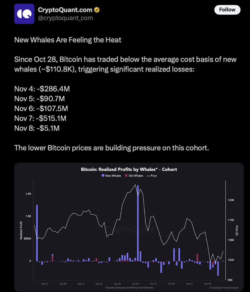 Cryptoquant Whales Entering