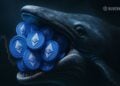 Ethereum Drops to a 5-Month Low — Here Is Why Whales Are Loading Up Anyway