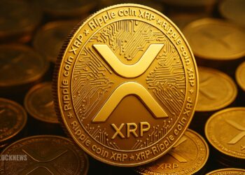 Evernorth Strengthens XRP Position After $1 Billion Purchase — What It Means for Investors