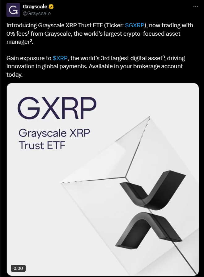 XRP and Dogecoin ETFs Go Reside on NYSE Arca — Right here Is Why These Launches Matter