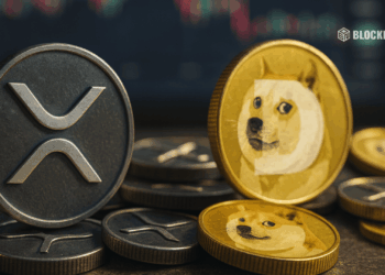 Xrp and Dogecoin Etfs Go Live on Nyse Arca Here is Why These Launches Matter