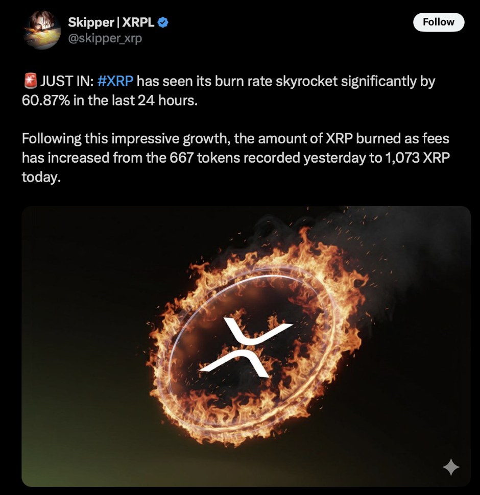 Xrp Burn Rate