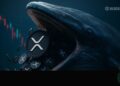 XRP Holds the $1.85 Level as 1.80B Tokens Accumulated — Here Is What Comes Next