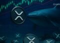 250 Million XRP Pulled From Circulation While Buyers Step In – Here Is What This Means for the Next XRP Move