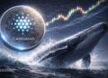 Cardano Enters a Breakout Zone as Bulls Defend Key Levels – Here Is Whether ADA Can Reverse