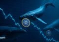 Cardano Looks Weak on the Surface – Here Is Why On-Chain Data Tells Another Story
