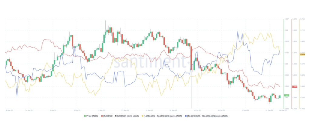 Cardano Builds Quiet Strength – Here is Why ADA Might Be Warming Up for Its Next Move.