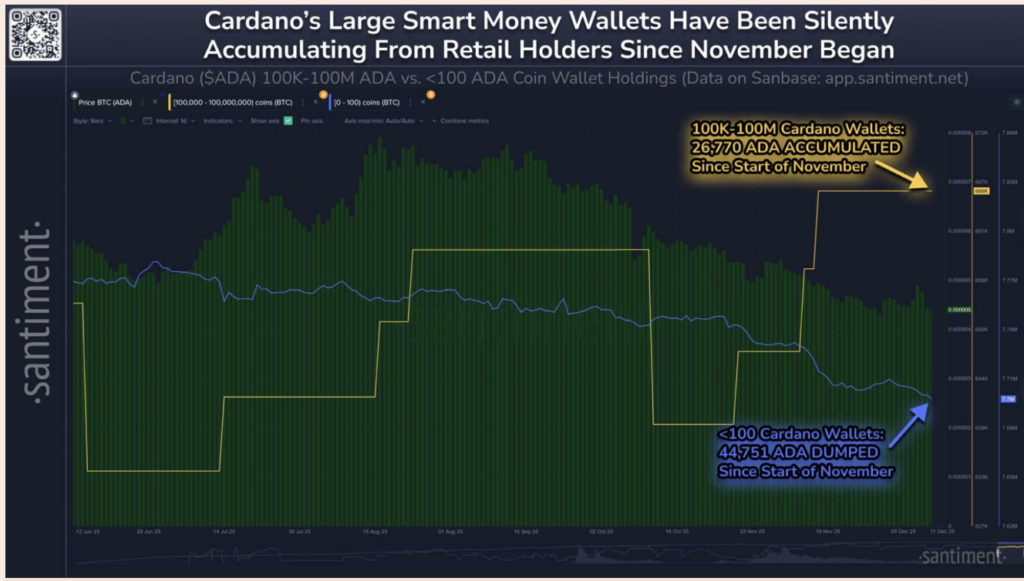 Cardano's Large Smart Money Wallets