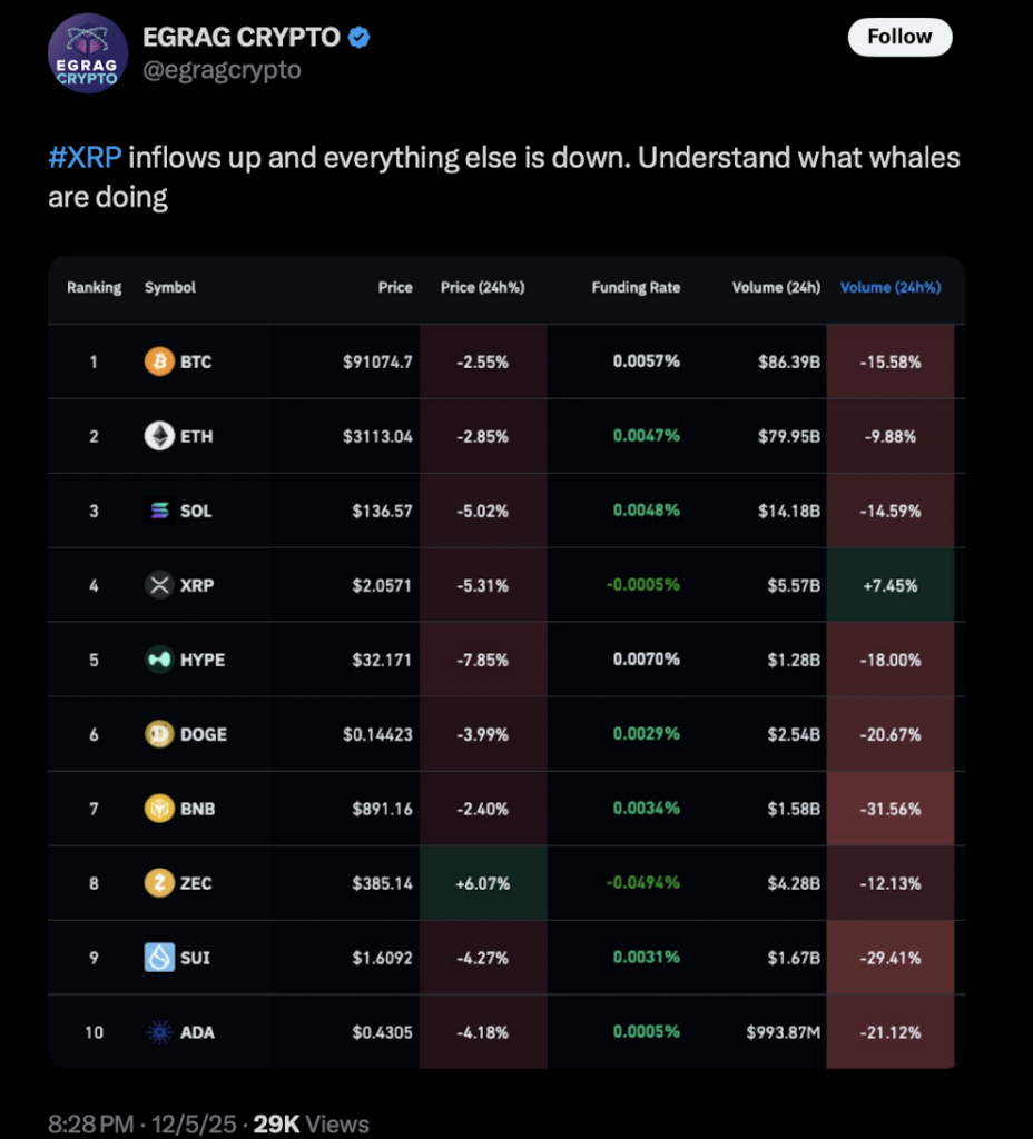 XRP Shows Surprising Strength as Volume Rises While the Market Bleeds