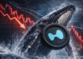 HYPE Whales Are Accumulating Quietly — Here’s Why Traders Are Watching the $23 Zone