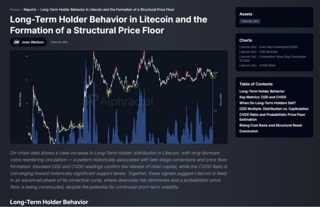 Longterm Holder Litecoin