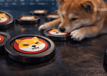 Shiba Inu Crashes Over 90% From Peak as Investors Grow Wary – Here Is Whether SHIB Can Recover