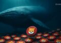Shiba Inu Whale Withdraws 169 Billion SHIB From Coinbase – Here Is Why Traders Are Watching Closely