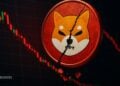Shiba Inu’s Long Decline Raises Red Flags – Here Is Why Some Say Avoid SHIB