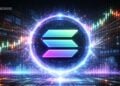 SOL Network Activity Slows but Accumulation Grows – Here Is What Whales Are Doing