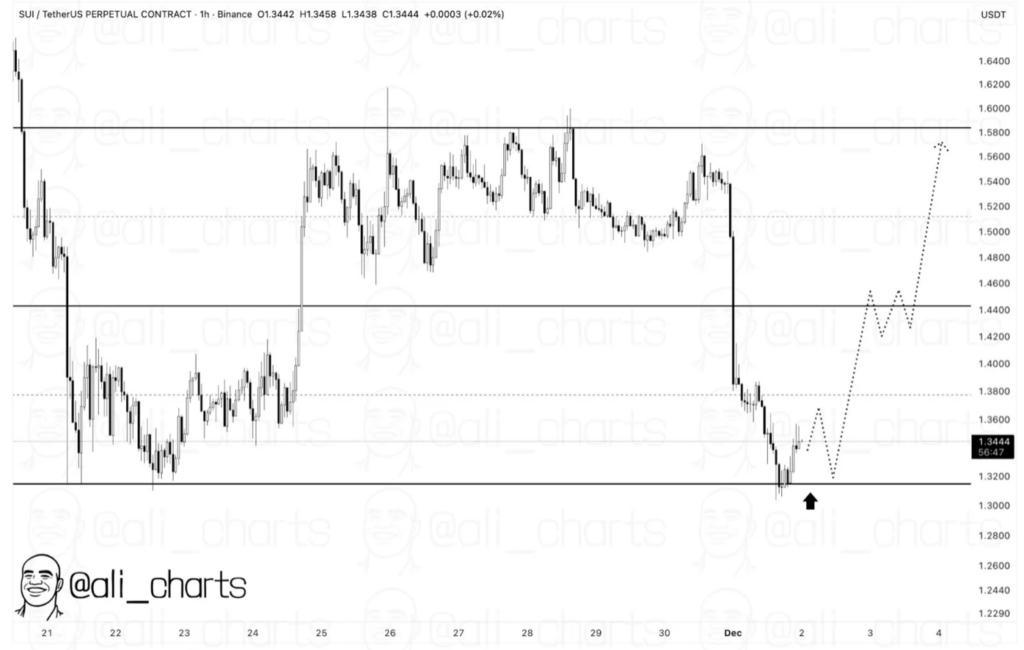 Sui Positive factors Entry to New York on Coinbase, Igniting Bullish Surge 