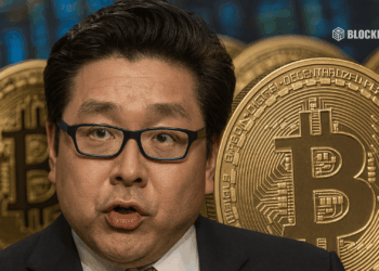 Tom Lee Cools His Bitcoin Forecast As Altcoins Gain Momentum Here is Where Investors Are Looking Next