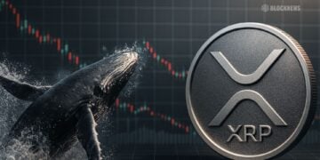 XRP Price Weakness Triggers Massive Whale Buying Window – Here is how it could fuel a rebound.