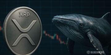 XRP Slides Back to $2 as Whales Dump Millions, but Long-Term Holders Quietly Step In