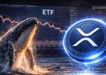 XRP Whales And ETFs Are Quietly Taking Control - Here Is What The Market Is Missing