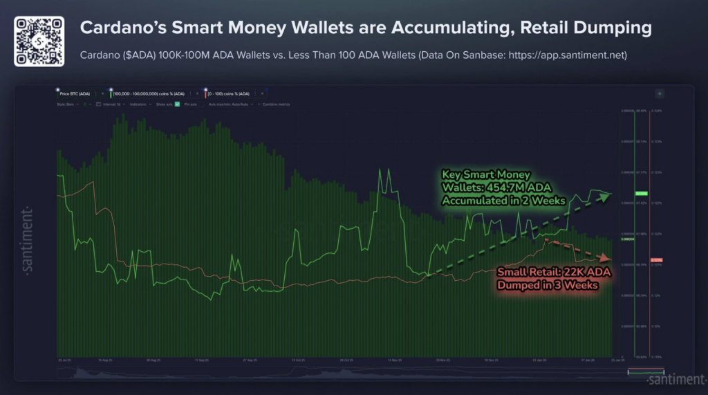 Cardano Smart Money