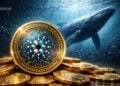 Cardano Trades at Range Lows While ADA Whales Accumulate Below $0.35
