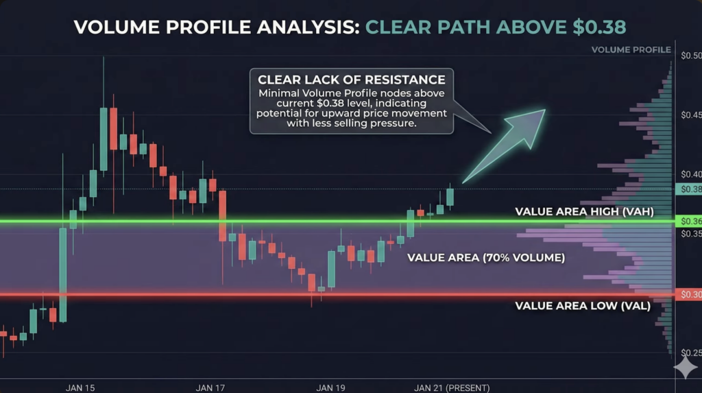 Cardano Sees Giant On-Chain Buys Whereas ADA Sentiment Stays Muted – BlockNews Cardano Sees Giant On-Chain Buys Whereas ADA Sentiment Stays Muted – BlockNews