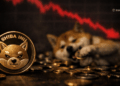 Shiba Inu is Down over 60 - Should You Sell Hold or Buy the Dip Here is the Real Trade-off