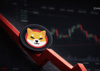 Shiba Inu Slides out of the Top 15 Crypto Rankings Here is What Shib Needs