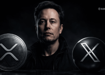 Xrp Elon Musk and X Payments Rumors Are Heating Up Here is Whats Actually Real
