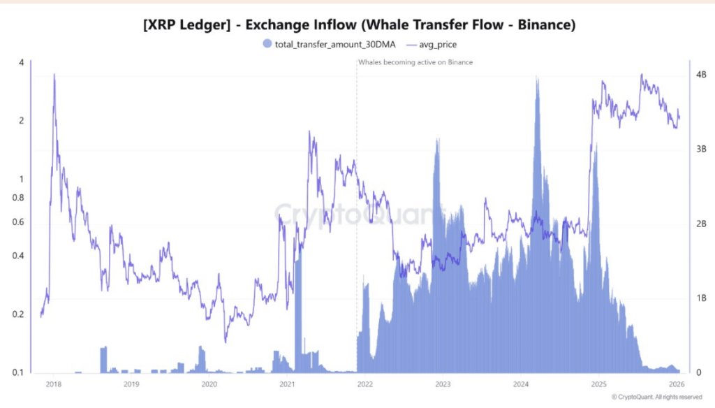 Xrp Ledger Whale Flow