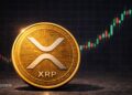 XRP Shows Early Reversal Signals as Momentum Shifts - Here Is What the Chart Suggests