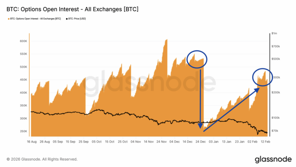 Btc Option Open Interest