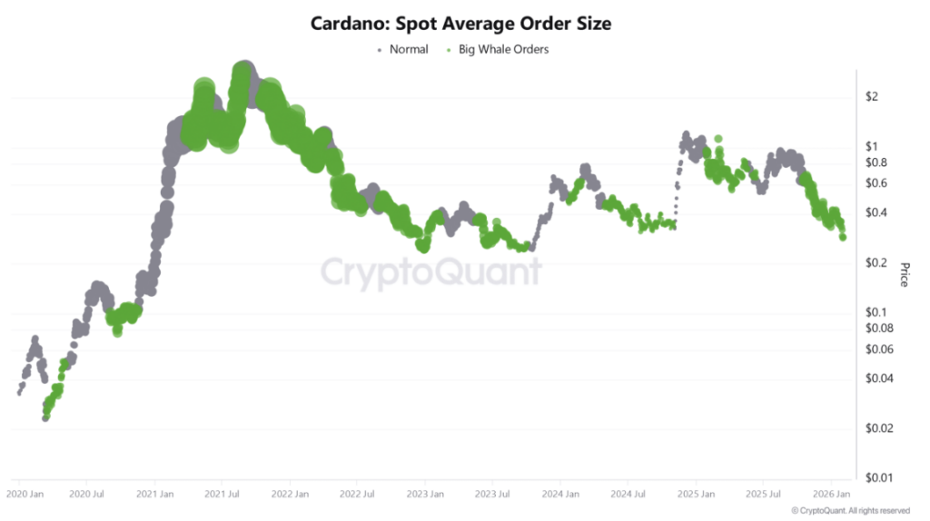 Cardano Spot