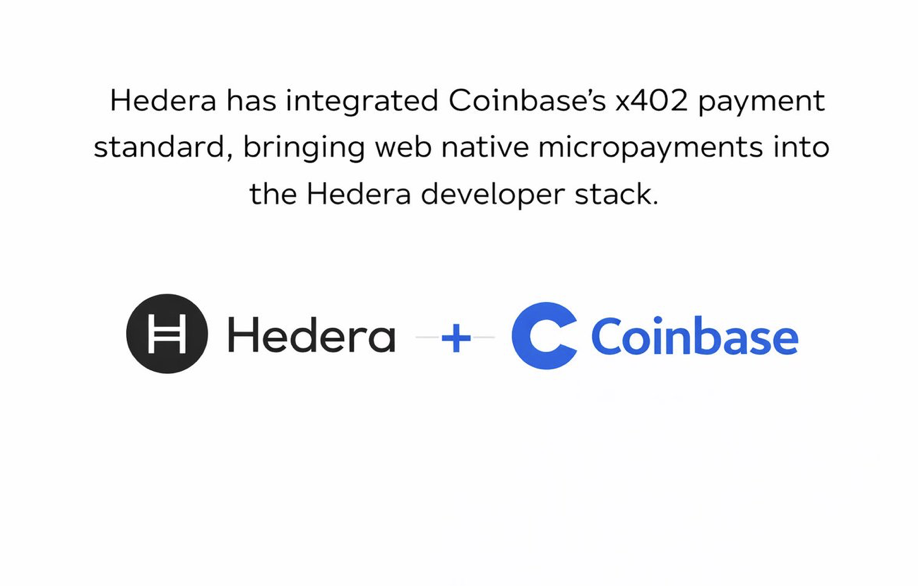 Hedera X Coinbase