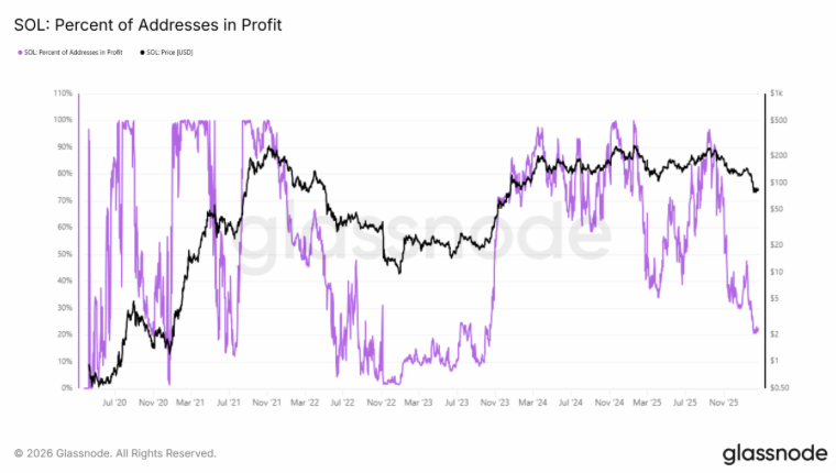 Sol Addresses in Profit