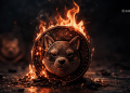 Shiba Inu Burn Rate Hits 0 on Valentines Weekend - Here is Why Shib Looks Stuck
