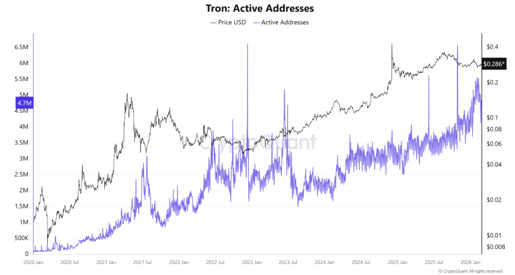 Tron Active Addresses