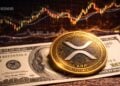 XRP Market Share Grows as $100 Turns Into $364 in Crypto Here Is the Five-Year Breakdown