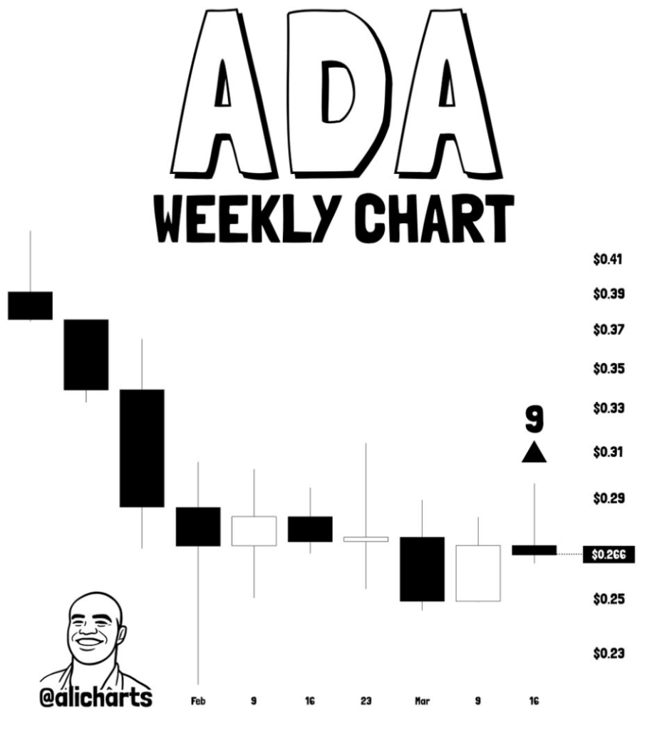 Cardano ADA Crypto Value Faces Key Turning Level – Right here Is What Might Occur Subsequent – BlockNews Cardano ADA Crypto Value Faces Key Turning Level – Right here Is What Might Occur Subsequent – BlockNews