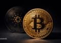 Bitcoin vs Cardano Crypto Investment Debate - Here Is Why $1,000 May Favor BTC