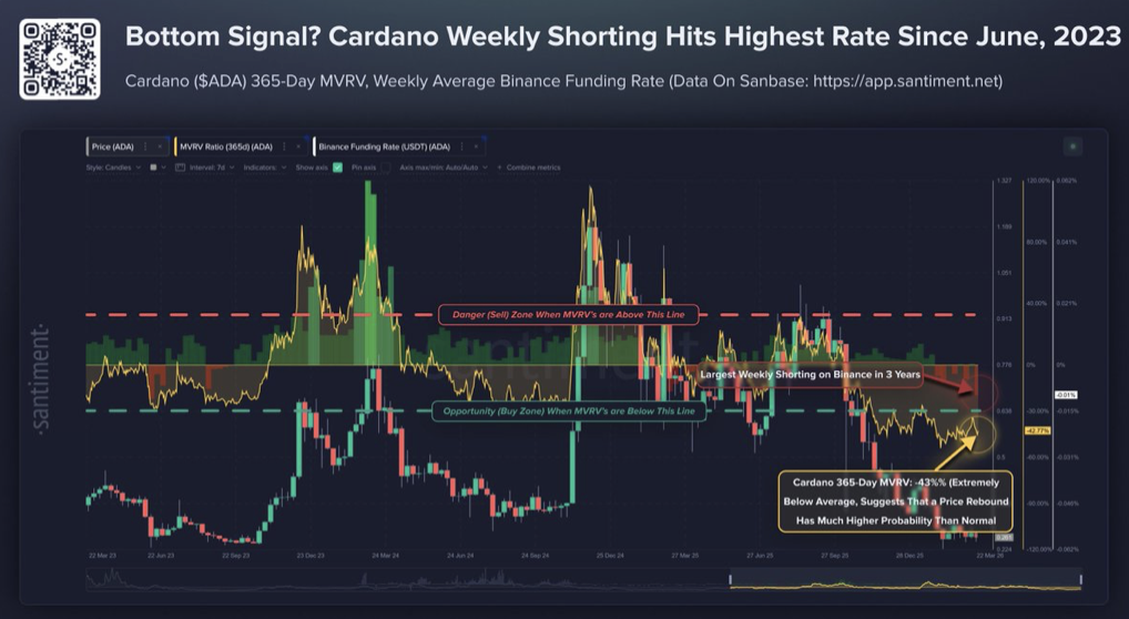 Cardano