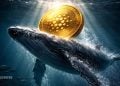 Cardano Crypto Whales Buy $35M ADA Despite 22% Drop – Here Is Why Traders Are Watching