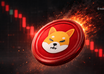 Shiba Inu Slides 60% in a Year – Here Is Why the SHIB Hype Is Fading
