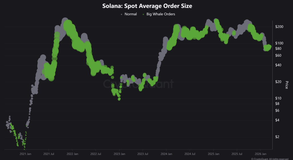Solana Spot Average Order Size