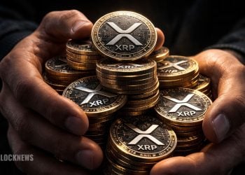 Whale Accumulation vs Weak Network Growth in XRP – Here Is the Real Crypto Risk