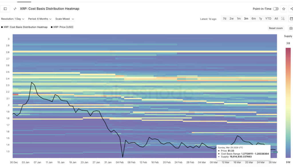 Xrp Cost Basis Distribution